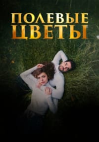 Дикие цветы