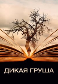 Дикая груша