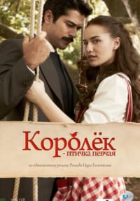 Королек – птичка певчая (2013 - 2014)