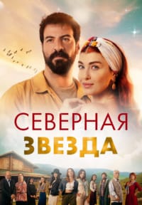 Полярная звезда